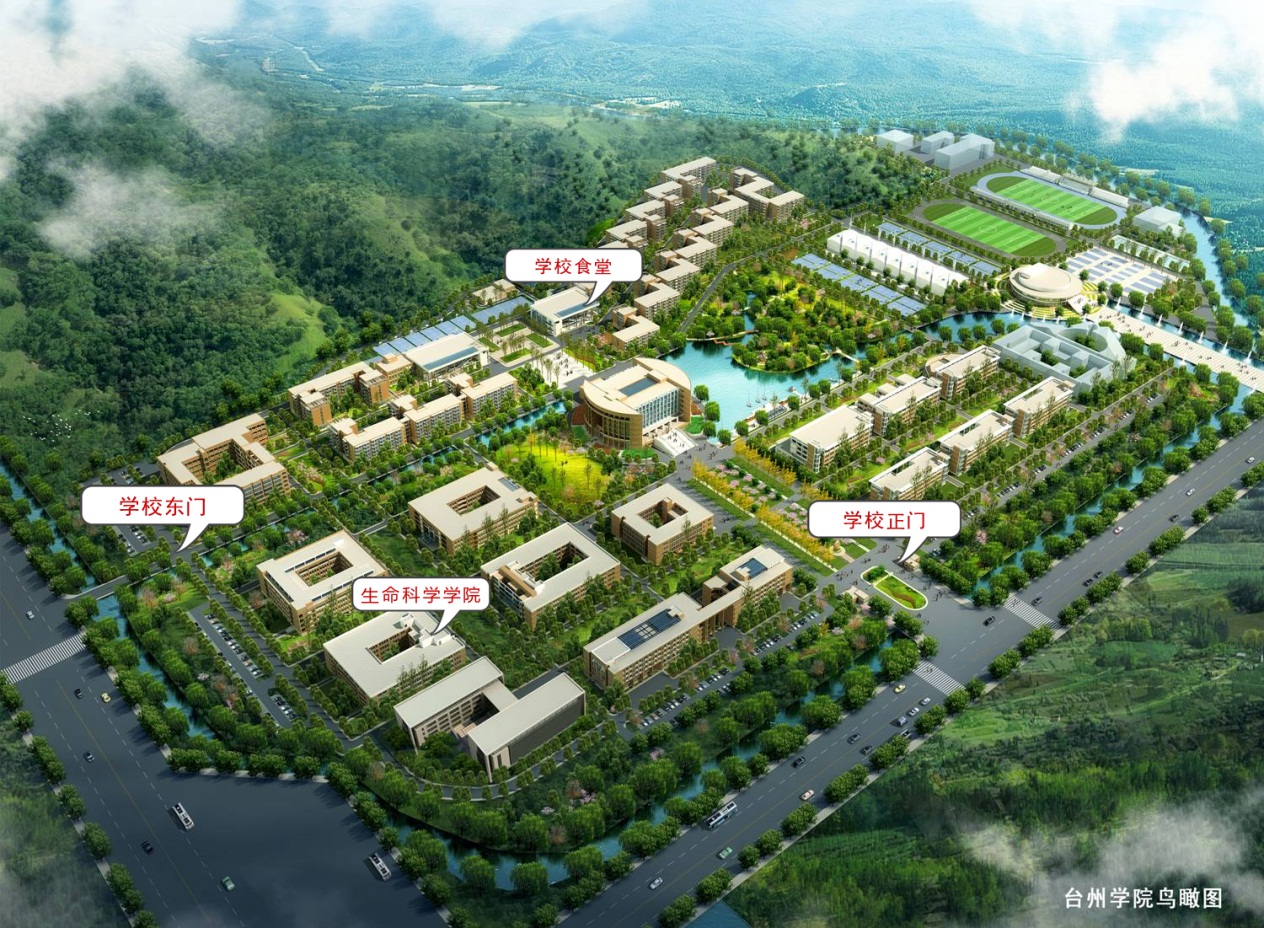 1541407993115122.jpg 3.jpg